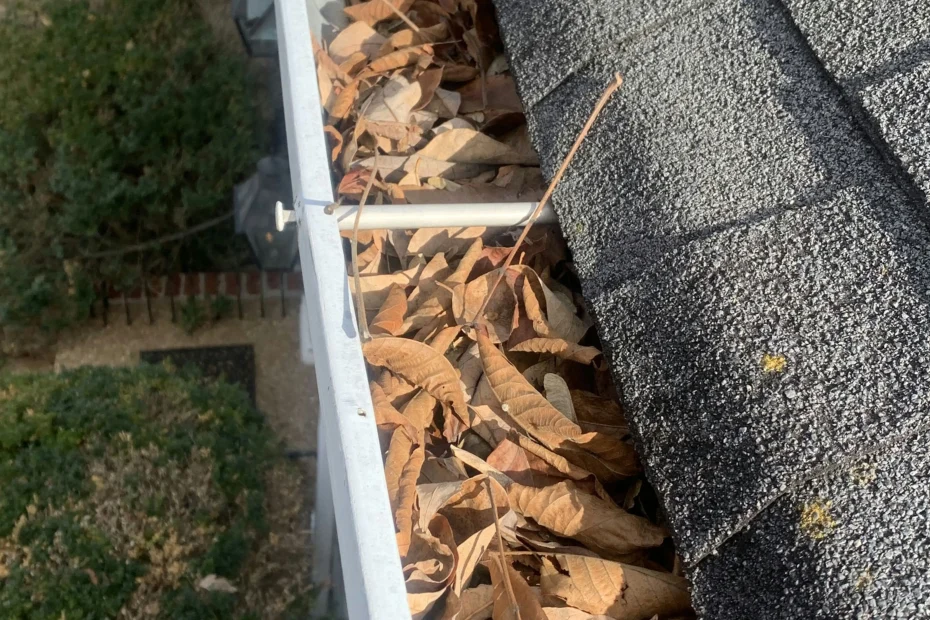 Gutter Cleaning Bahama